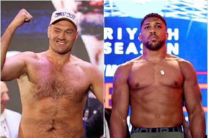 Tyson Fury vs Anthony Joshua has to happen as former world champ lays the blame at boxing matchmakers