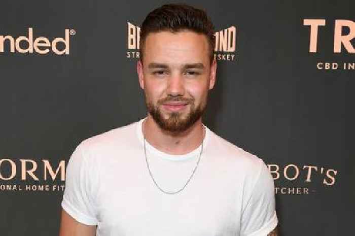 Liam Payne features as guest judge in new music competition trailer