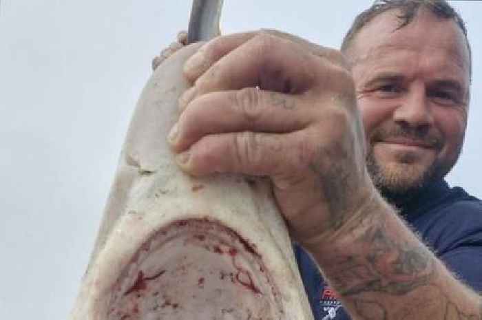 Rare shark caught at Welsh beach while people were swimming