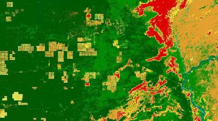 Satellite records expose fire driving Gran Chaco transformation