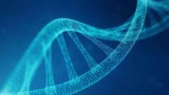 Controversial project to create human DNA from scratch begins
