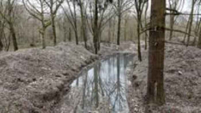30,000 tonnes of illegal waste to be cleared from woodland