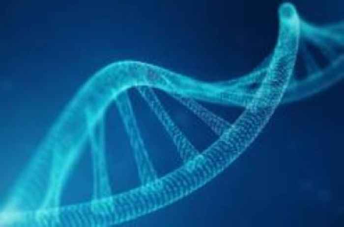 Controversial project to create artificial human DNA begins
