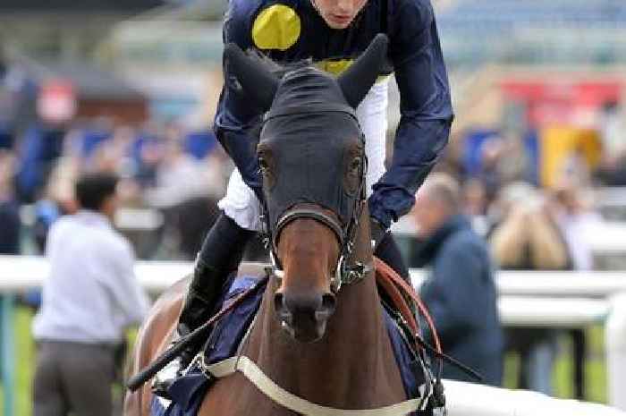 'He is a step ahead of the handicapper' – all Friday's racing tips