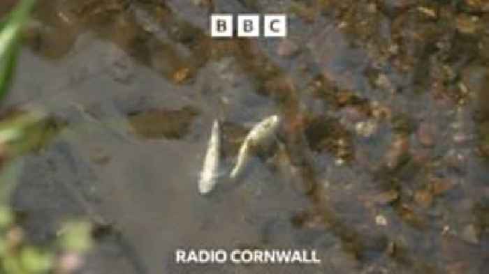 SWW confirm chemical leak came from its works