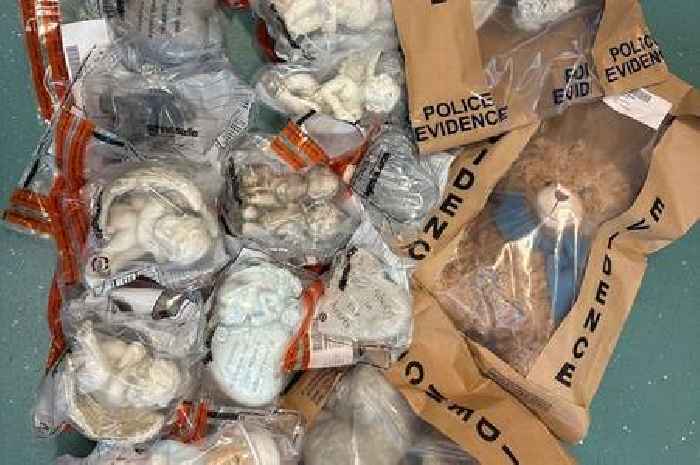 Sentimental teddy bears and ornaments stolen from Nottinghamshire village graves