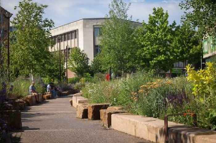 Urgent amber heat health alert issued for East Midlands with warning of 'rise in deaths'