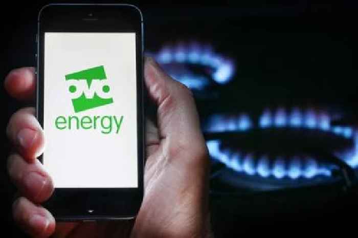 OVO Energy issues 'urgent action' warning with millions of customers impacted