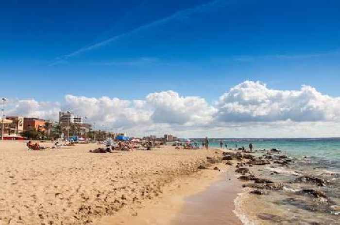Majorca struggles as tourist hotspot amid warning of 'sad reality' for UK tourists