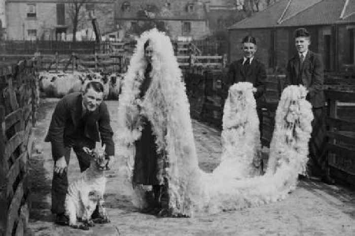 9 traditional summer customs from rural Scotland that will take you back in time