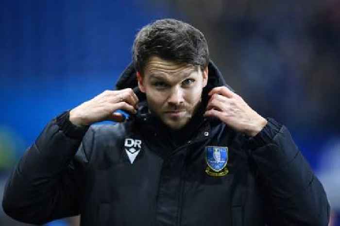 Why Danny Rohl's Sheffield Wednesday battles could make him ideal new Leicester City manager
