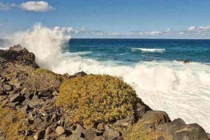 Tenerife beach known for its beauty closed for summer over safety concerns