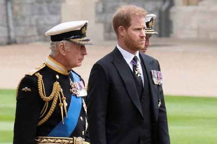 Prince Harry has 'regrets' over King Charles rift as wish for children comes to light
