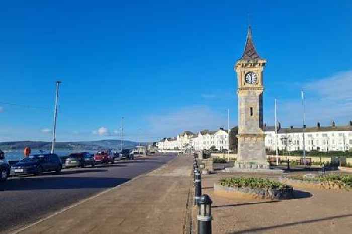 Jokers arrested over toy guns bought 'for a laugh' in Exmouth