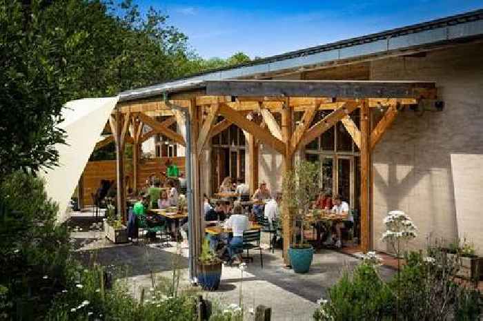 Events announcEvents announed to mark 20 years of Riverford Field Kitchened to mark 20 years of Riverford Field Kitchen in Buckfastleigh