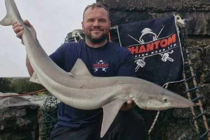 Rare shark caught in UK coastal waters as people swim in sea