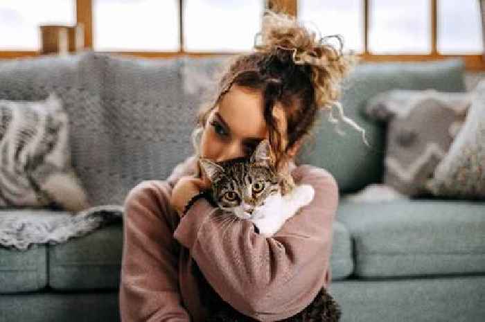 Cats make 'adorable gesture' to tell you they love you and it's super cute
