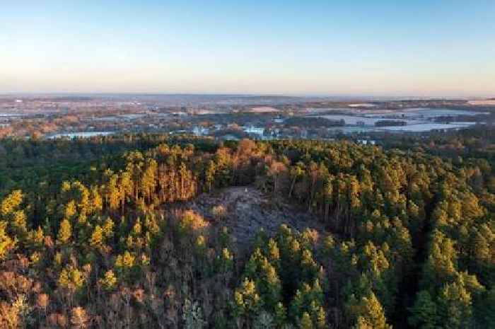 Surrey's ‘Devil’s Punch bowl’ included in new national nature reserve that's home to rare species and important habitats