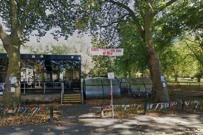 ‘Glorious’ Cambridge trees saved from being cut down again