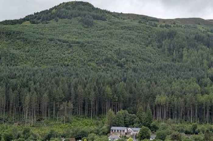 Campaigners secure crunch meeting as concerns rage over Strathyre felling plans