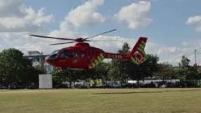 Children among casualties after tree falls in park in Essex
