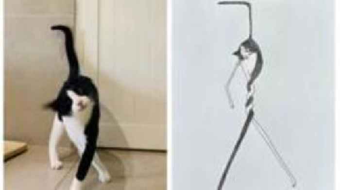 'Rubbish' pet artist raises £450,000 for charity