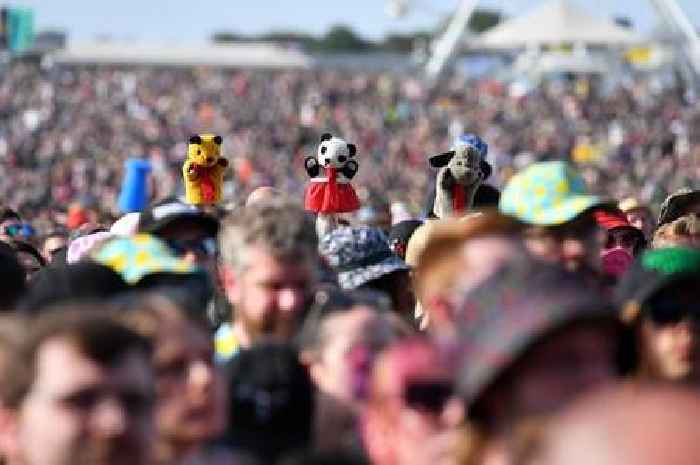Download toilet worker caught drink-driving on festival site