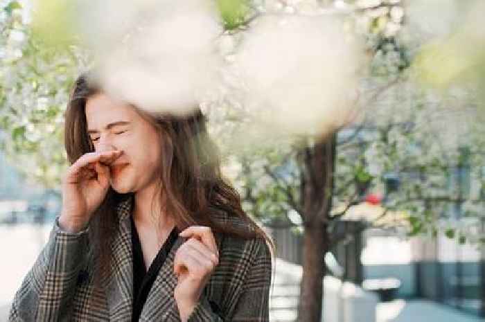 Hay fever sufferers face nightmare few days as pollen forecast to be at highest level
