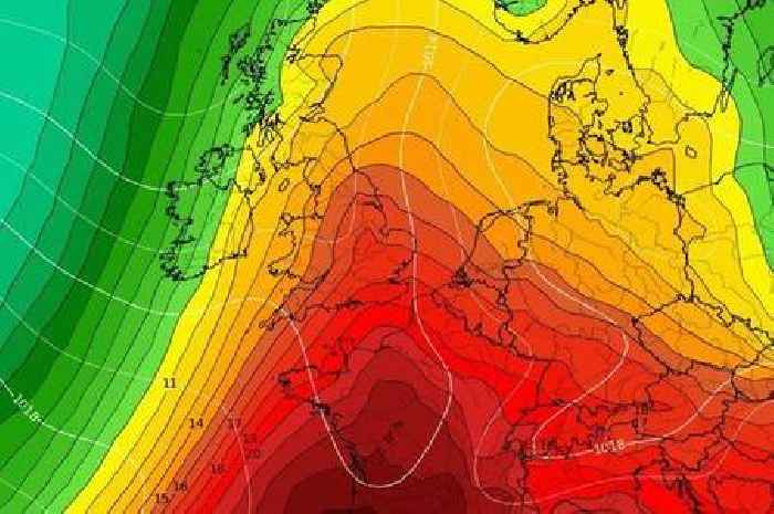 Households urged to shut windows and curtains if they face one direction on Sunday
