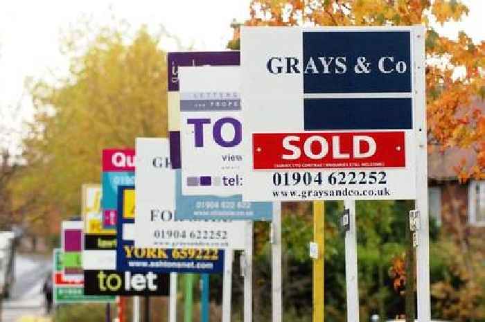 Young voters fume that high taxes fund pensioners while they can't afford a home