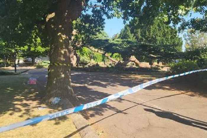 Chalkwell Park: Girl dies after tree collapses in Southend park