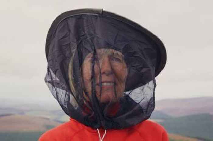 Avoid Scottish midge bites this summer with these 10 hiking and camping tips