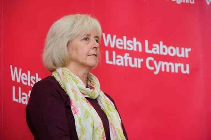 Government warned that Welsh universities are in an 'precarious position'