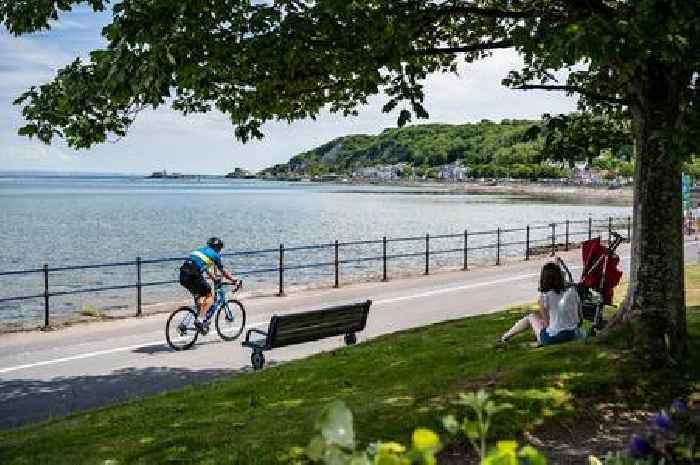 Residents fuming at dead dolphin left rotting for a week that is causing a 'dreadful' smell