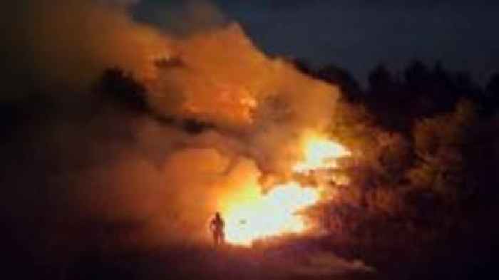 Arson destroys beautiful Brierley Forest, fire service says