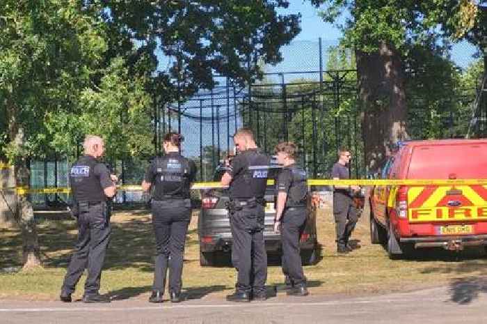 Girl, 7, dies in park tree collapse tragedy with another critical