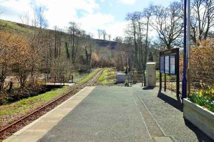 Live: Trains cancelled in Cornwall due to herd of cows
