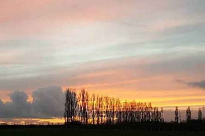 The Essex woodland where legend says 'no grass or trees ever grow'