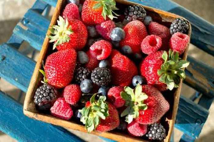 Cancer, dementia and heart disease risk can be lowered with handful of 3 fruits
