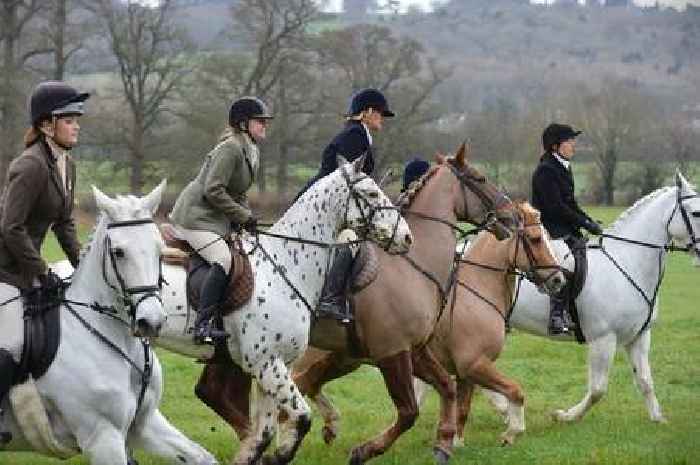 Somerset second worst in UK for illegal fox persecution, report reveals