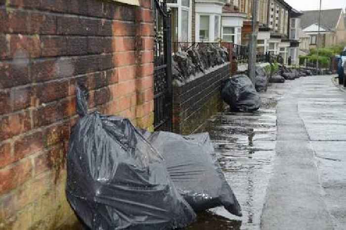 Welsh Government wants black bin bags to be collected just once a month