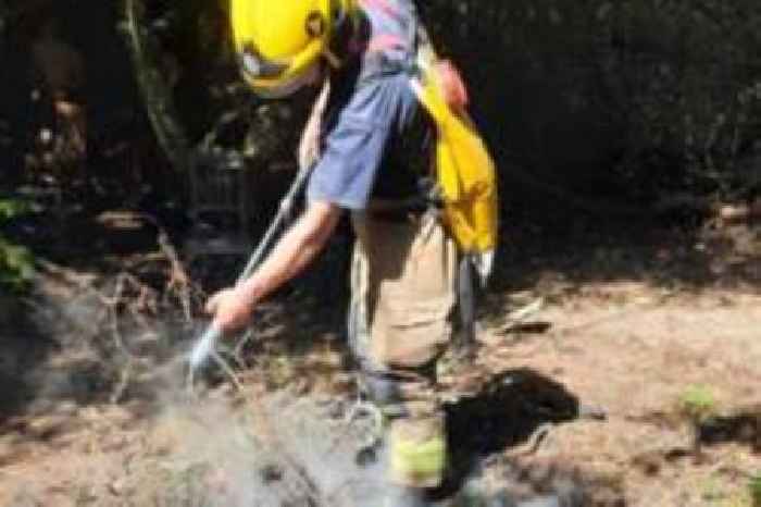 Partygoers given fire warning after forest rave