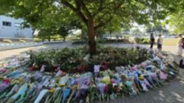 Outpouring of grief after falling tree kills girl
