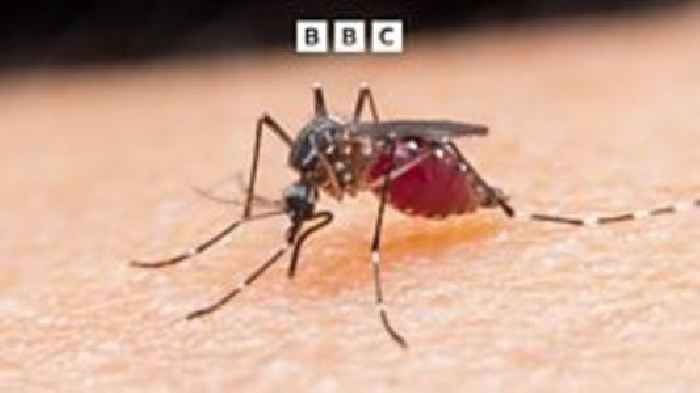 Keep getting bitten by mozzies? Here's what to do