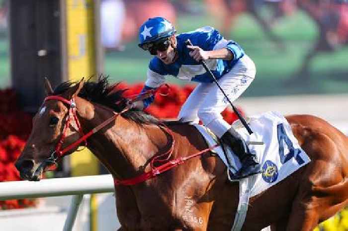 Ferraris set to end losing streak aboard Infinite Resolve