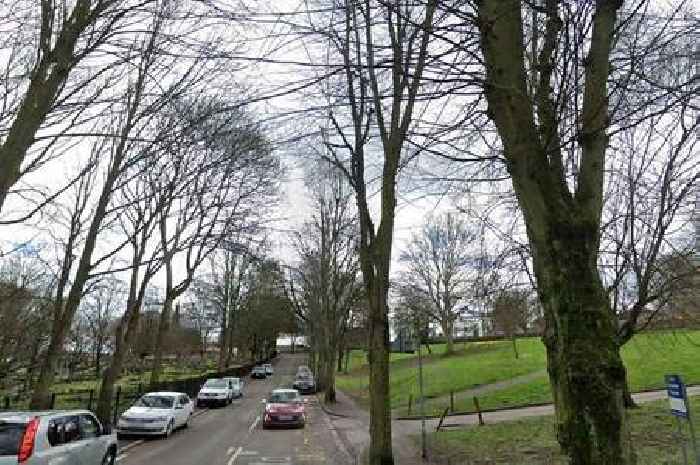 Appeal for witnesses following sexual assault in woods