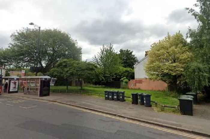 National Trust anger as tree stolen from Birmingham neighbourhood