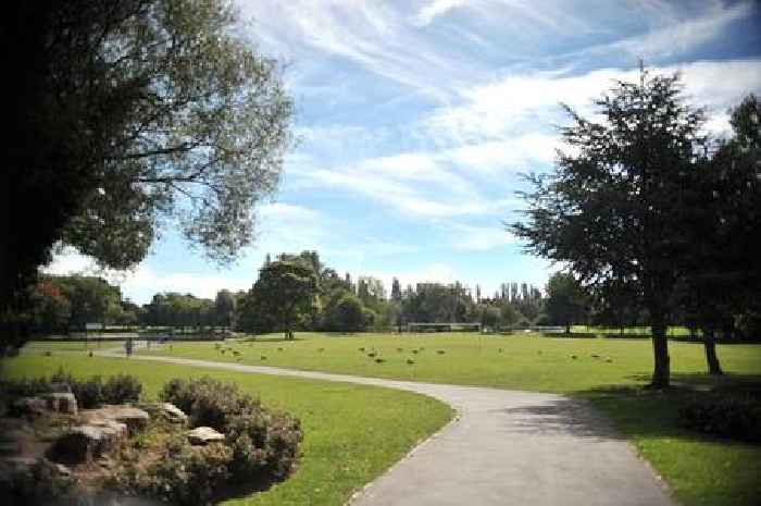 Tipton park machete attack leaves man seriously injured