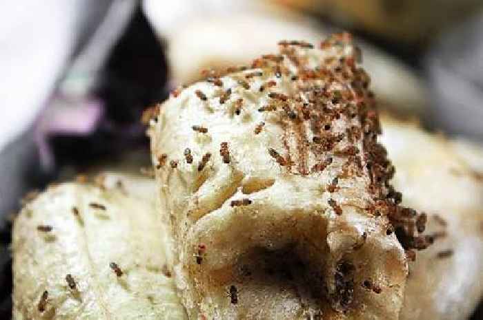 Get rid of fruit flies in your home when you do 1 simple task