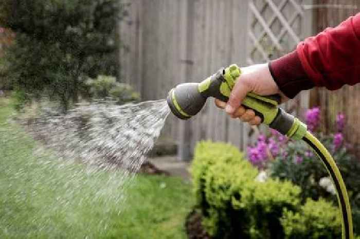 Stop garden from in the heat by watering plants at certain time of day